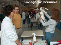 Siberiano al giudizio
