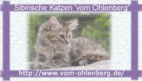 Logo: Allevamento Raszputyin Siberians, Adrienn