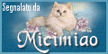 Ricerca con All web